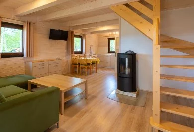 Harnaś - salon z kominkiem