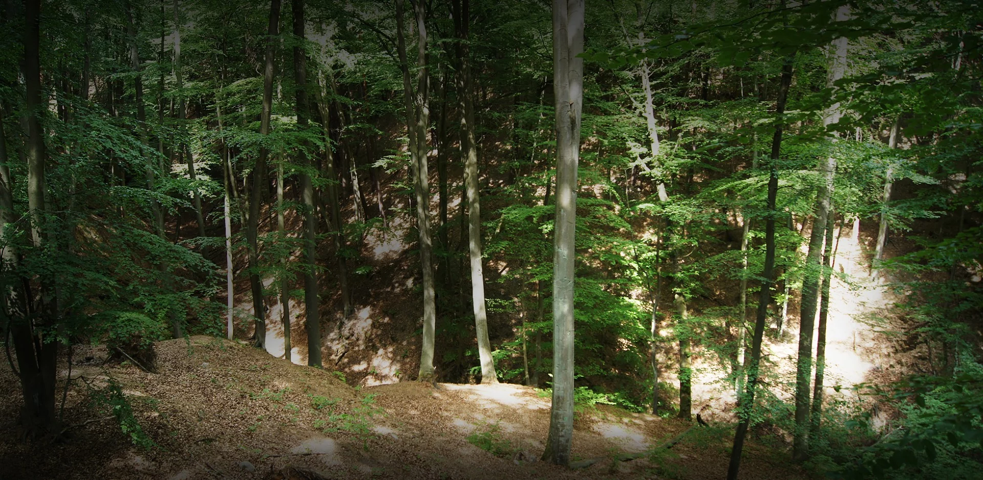 Klucz, do wypoczynku Dowiedz się więcej na temat naszego ośrodka